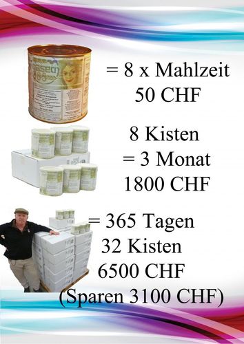 Dasein System GmbH