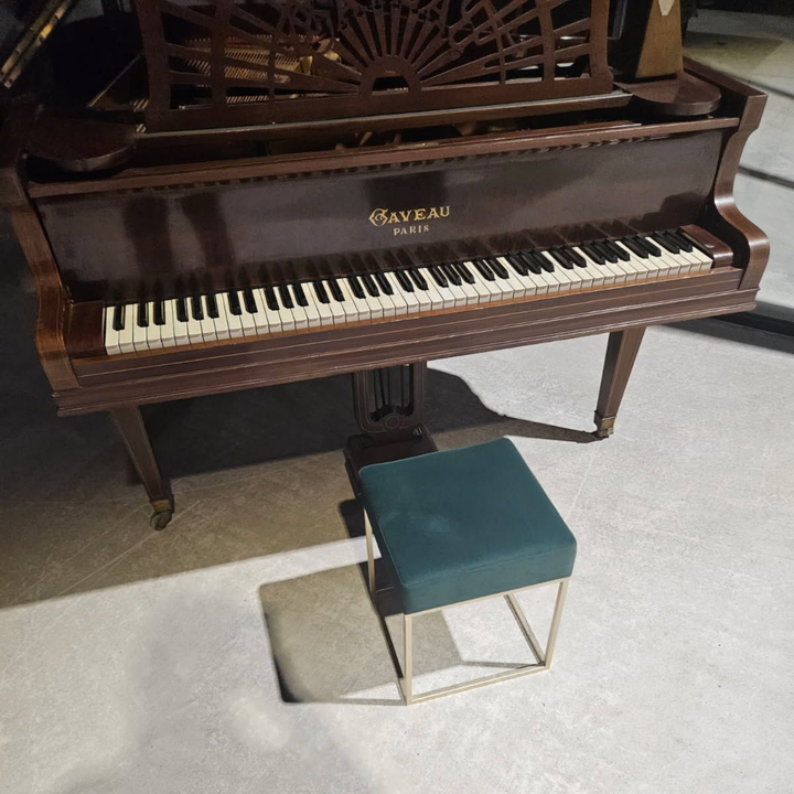 Piano droit marron avec banquette assortie dans une pièce recouverte de moquette