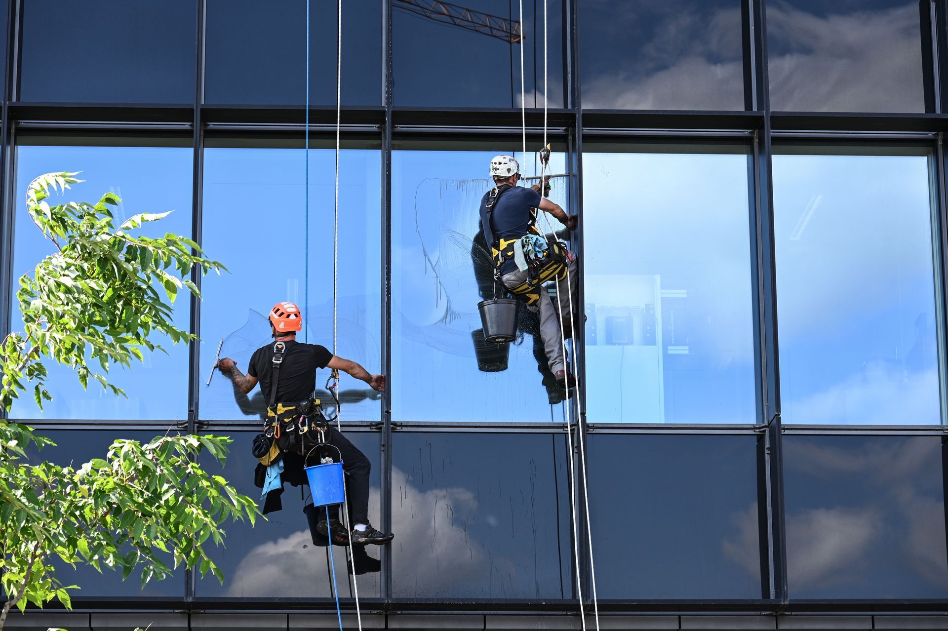 Deux laveurs de vitres suspendus à des cordes nettoient un immeuble de bureaux aux façades en verre miroir.