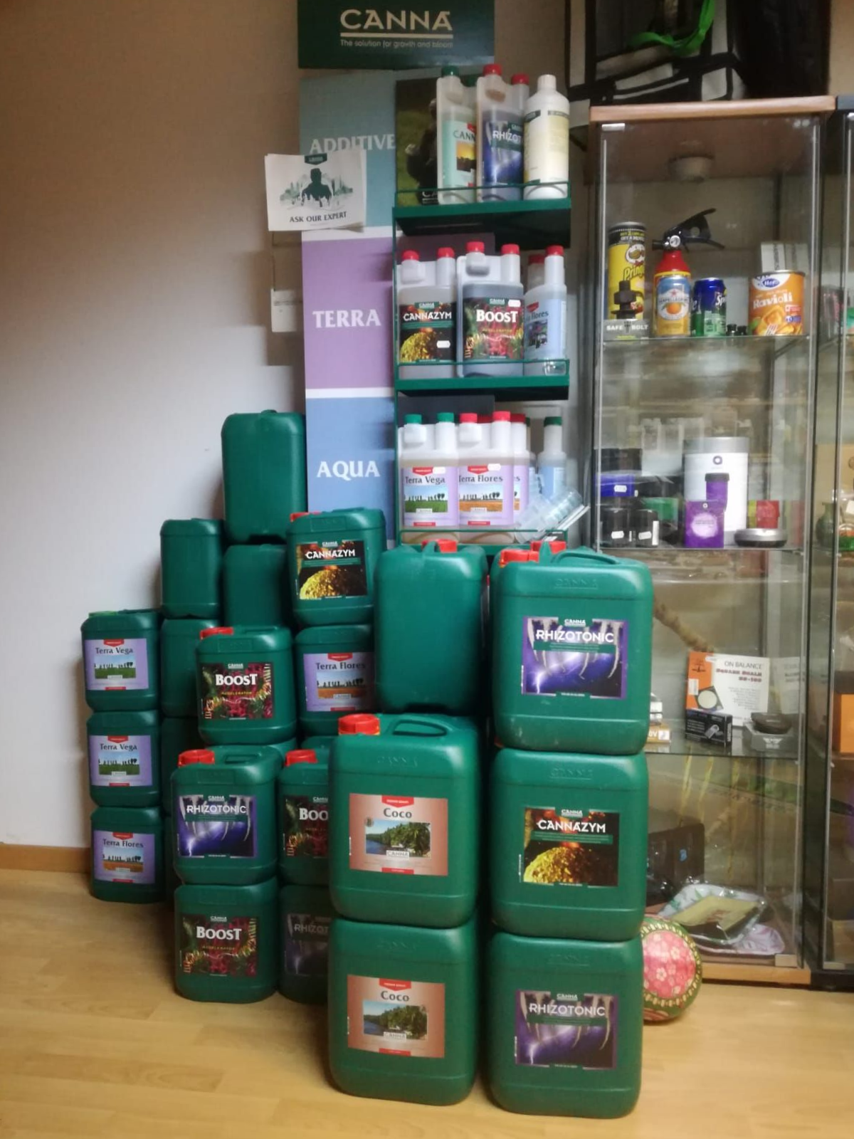 Persona che spruzza le piante con uno spruzzatore blu e nero su un balcone esposto alla luce del sole.