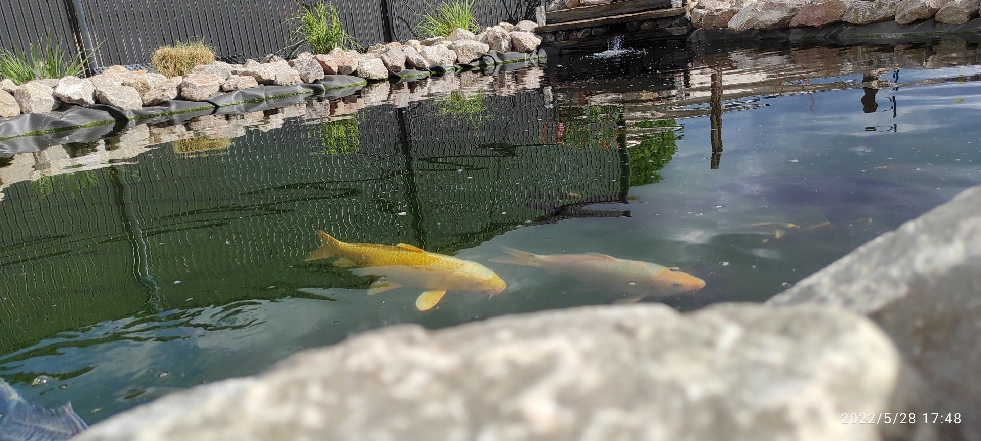 Réalisation d'un bassin d'eau