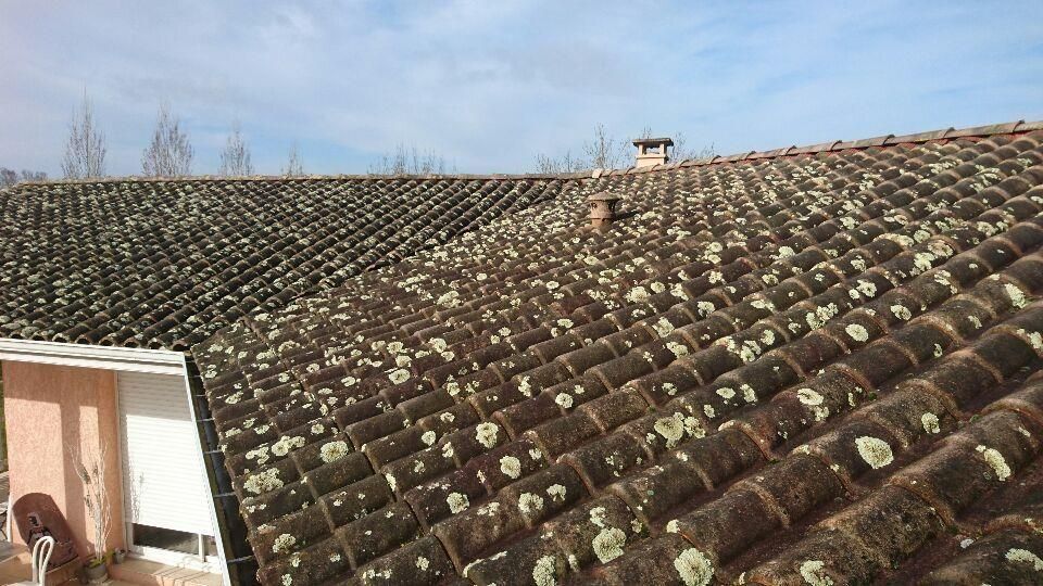 Toit de tuiles en terre cuite patinée et recouvert de mousse, vu d'un point de vue bas sous un ciel bleu