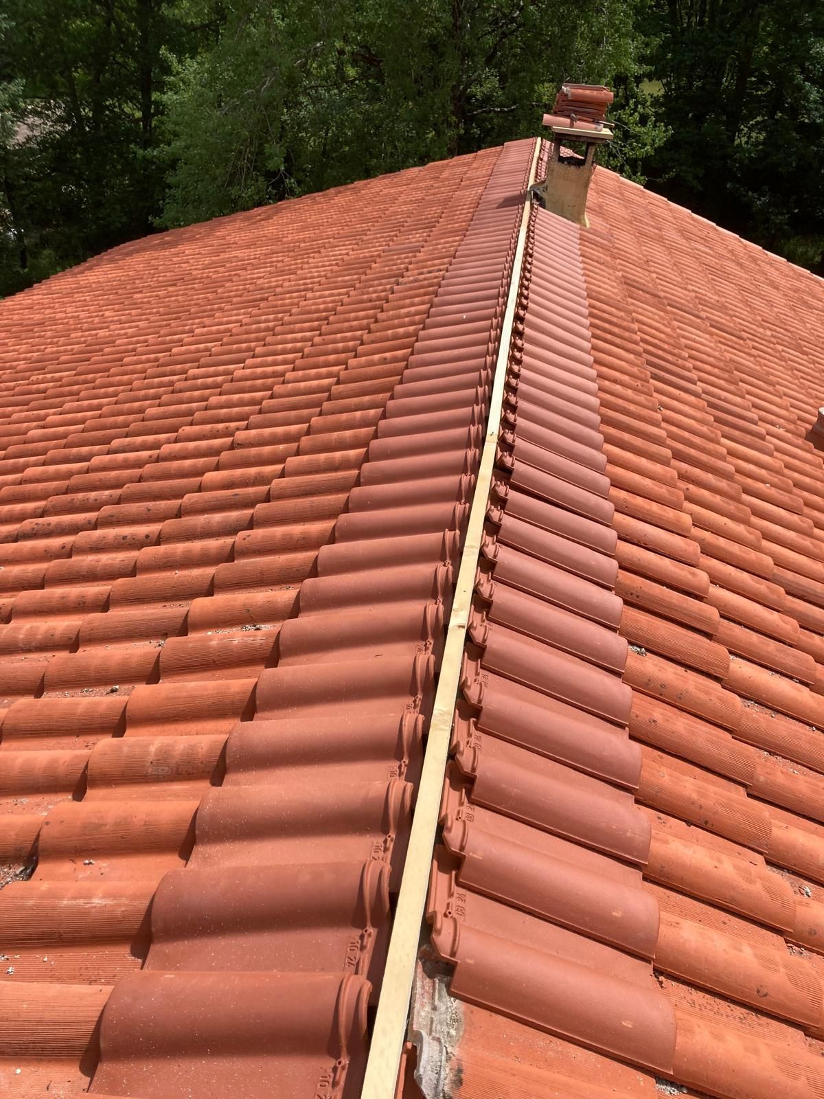 Toit de tuiles en terre cuite rouge avec une arête centrale et une cheminée sur fond de forêt verdoyante