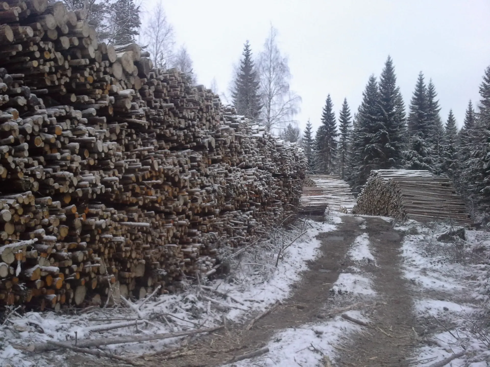 Metsäkoneurakointi Teemu Tiitinen Oy