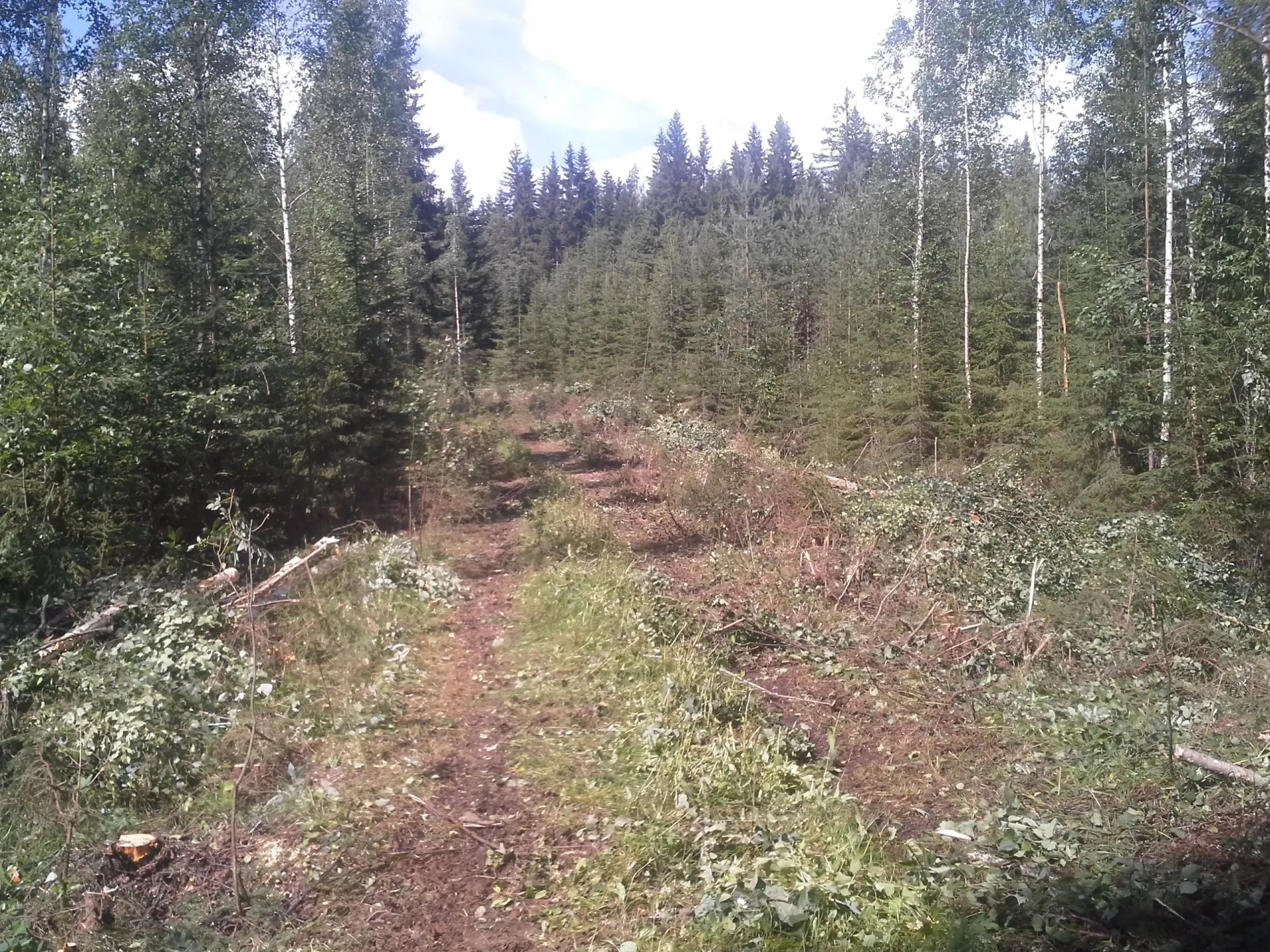 Metsäkoneurakointi Teemu Tiitinen Oy