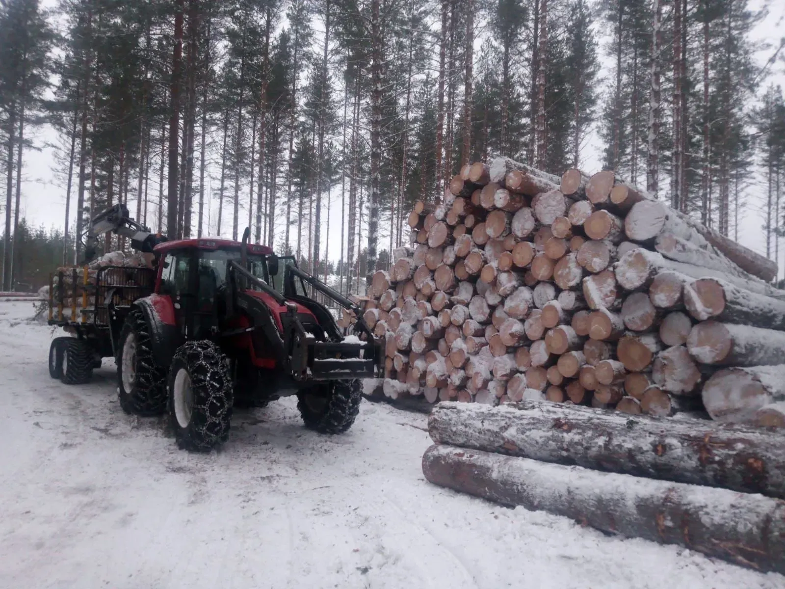 Metsäkoneurakointi Teemu Tiitinen Oy
