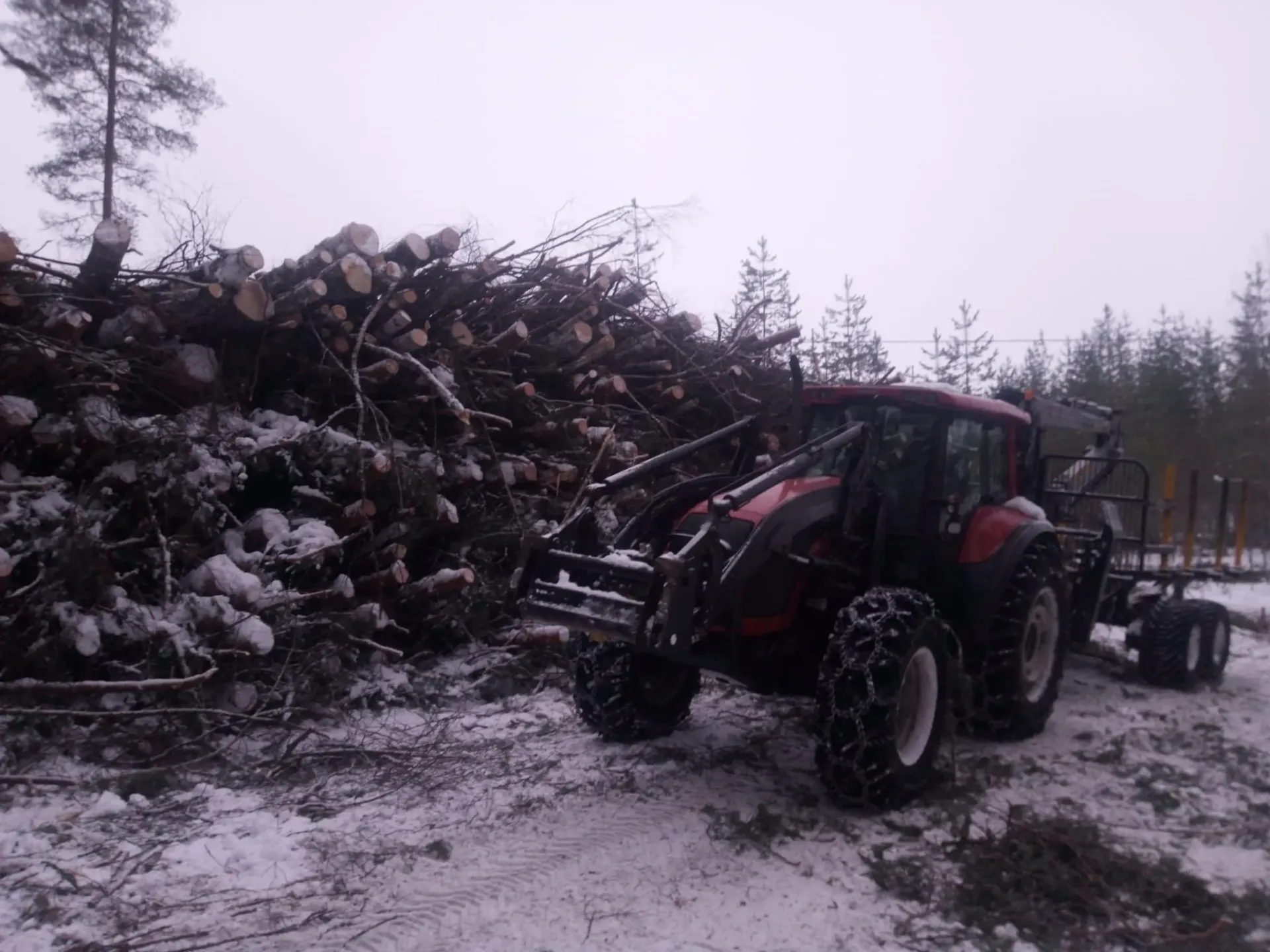 Metsäkoneurakointi Teemu Tiitinen Oy