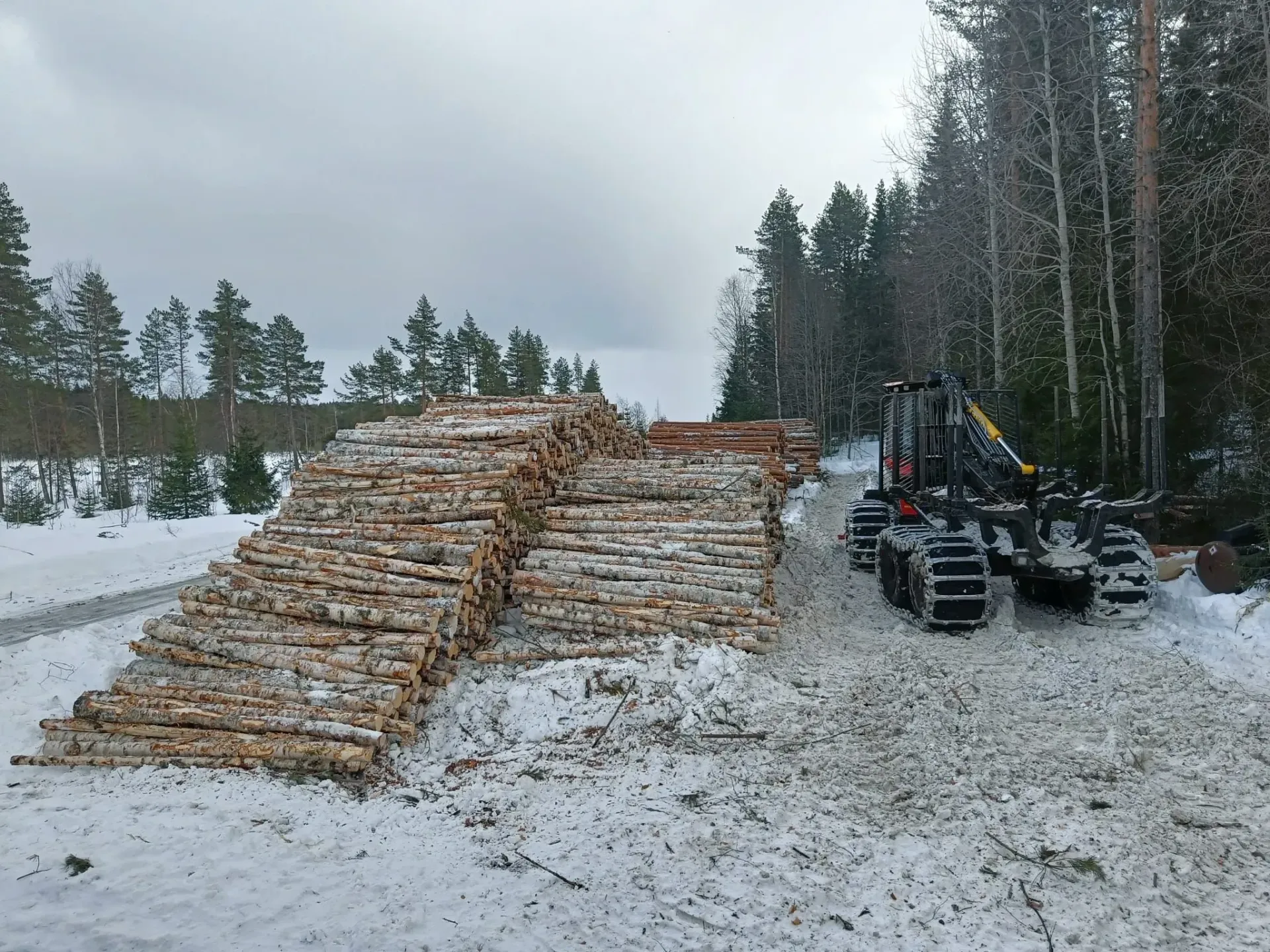 Metsäkoneurakointi Teemu Tiitinen Oy