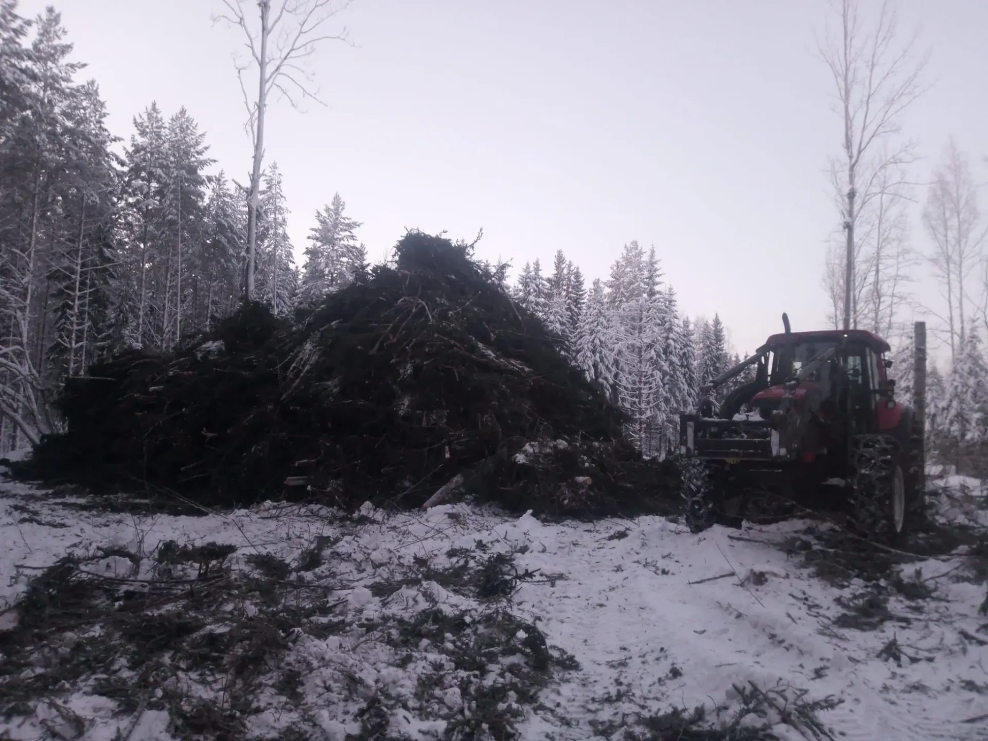 Metsäkoneurakointi Teemu Tiitinen Oy