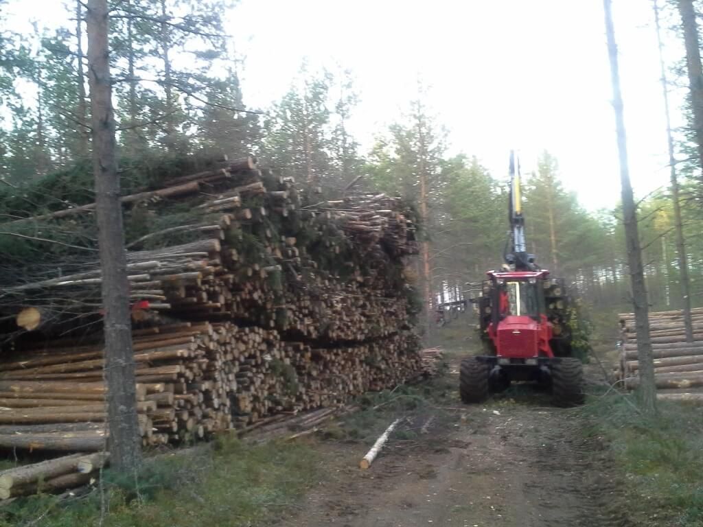 Metsäkoneurakointi Teemu Tiitinen Oy