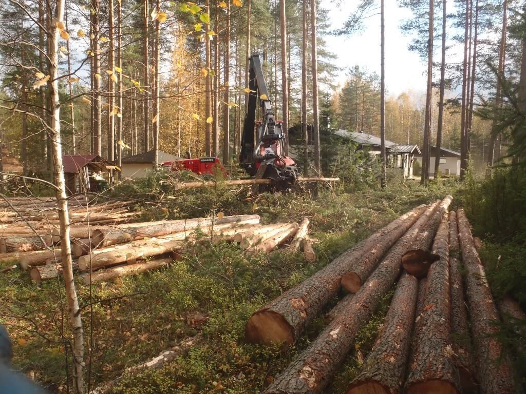 Metsäkoneurakointi Teemu Tiitinen Oy