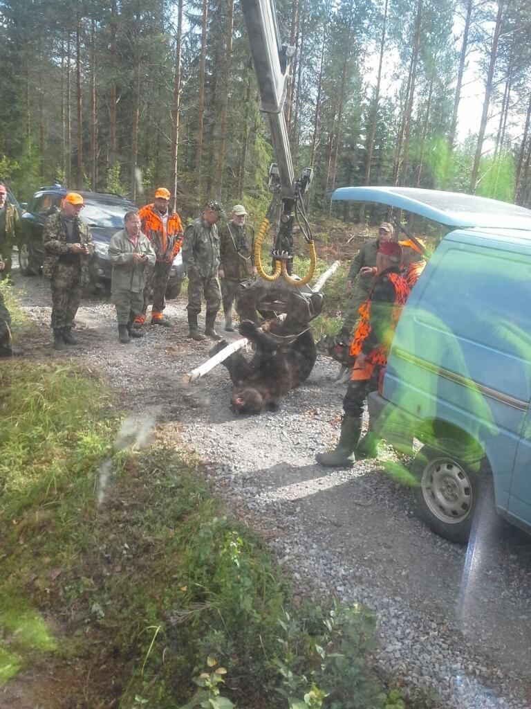 Metsäkoneurakointi Teemu Tiitinen Oy
