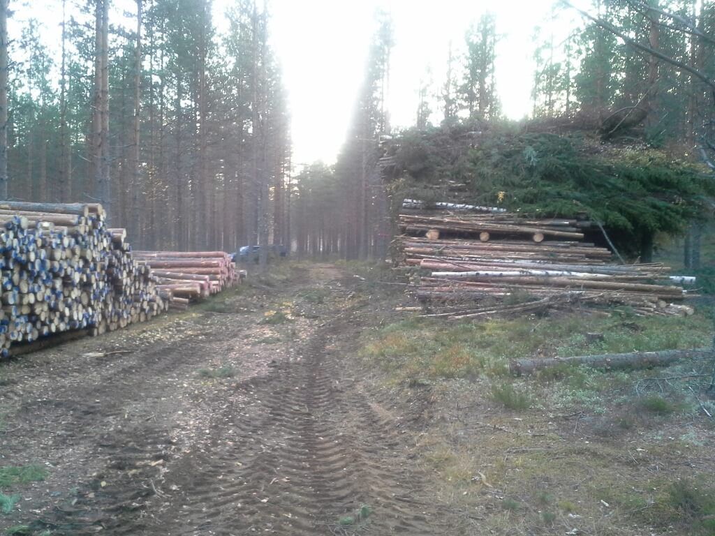 Metsäkoneurakointi Teemu Tiitinen Oy