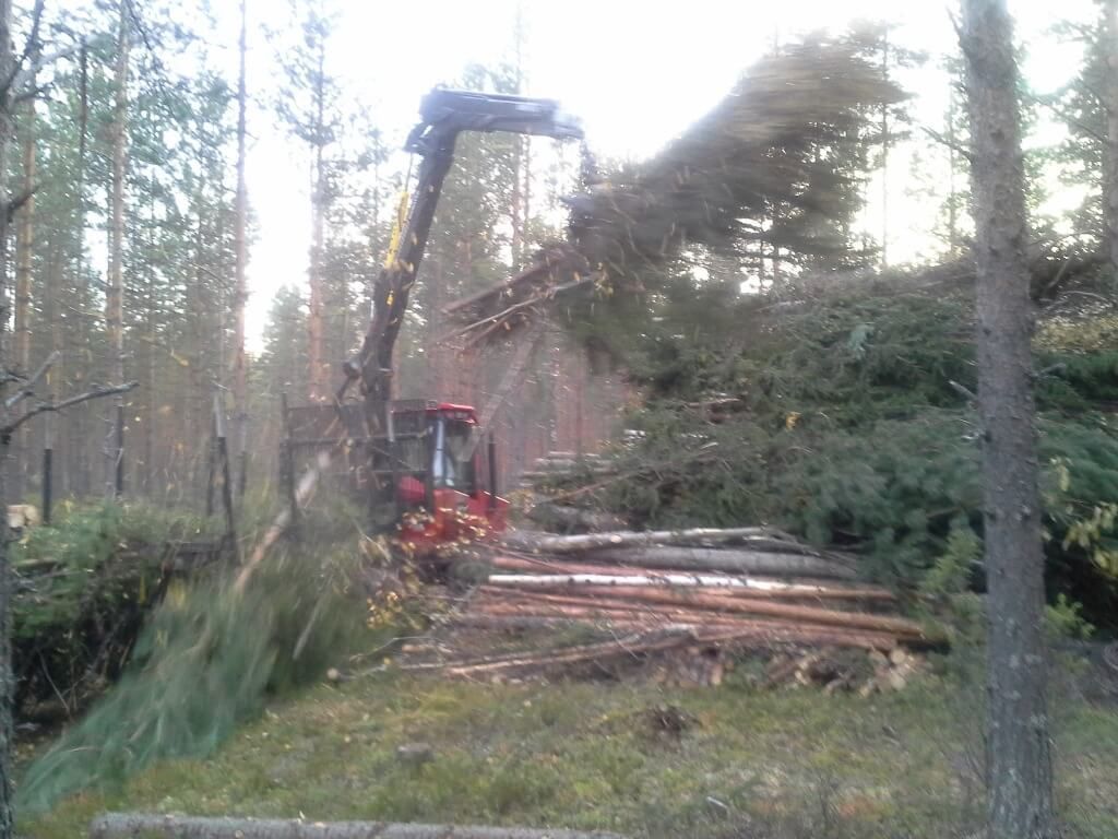 Metsäkoneurakointi Teemu Tiitinen Oy