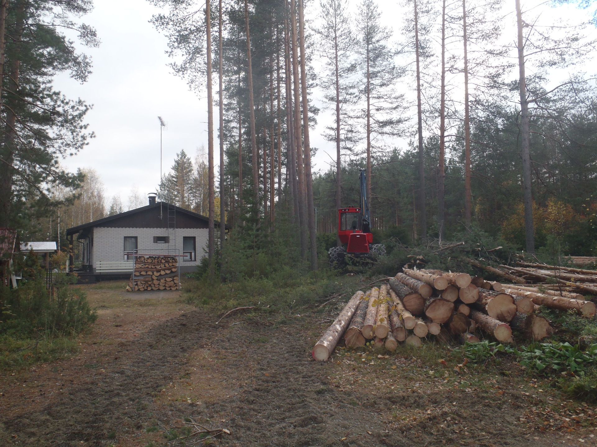 Metsäkoneurakointi Teemu Tiitinen Oy