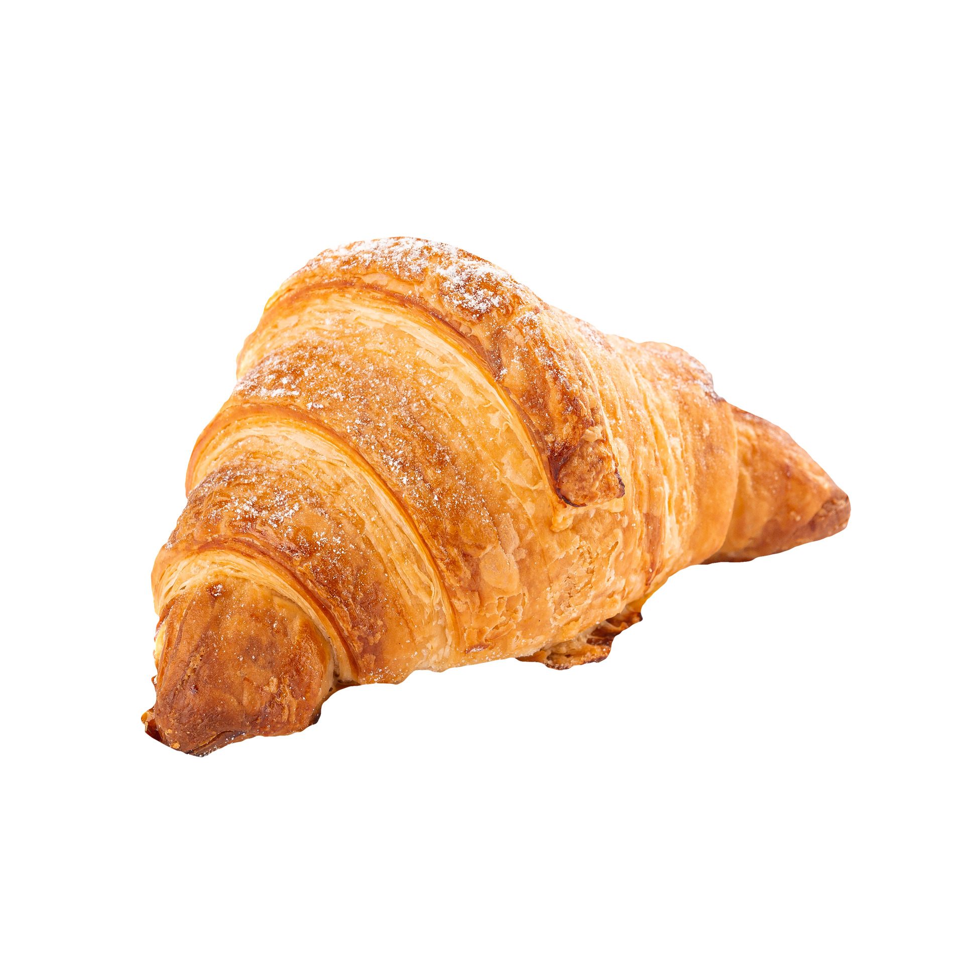 Un seul croissant au beurre, doré et feuilleté, légèrement fariné, sur fond blanc.