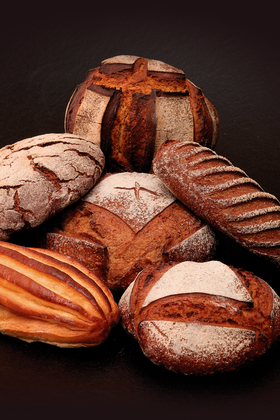 Un assortiment de pains artisanaux, dont des miches rondes et une baguette, disposés sur un fond sombre uni.