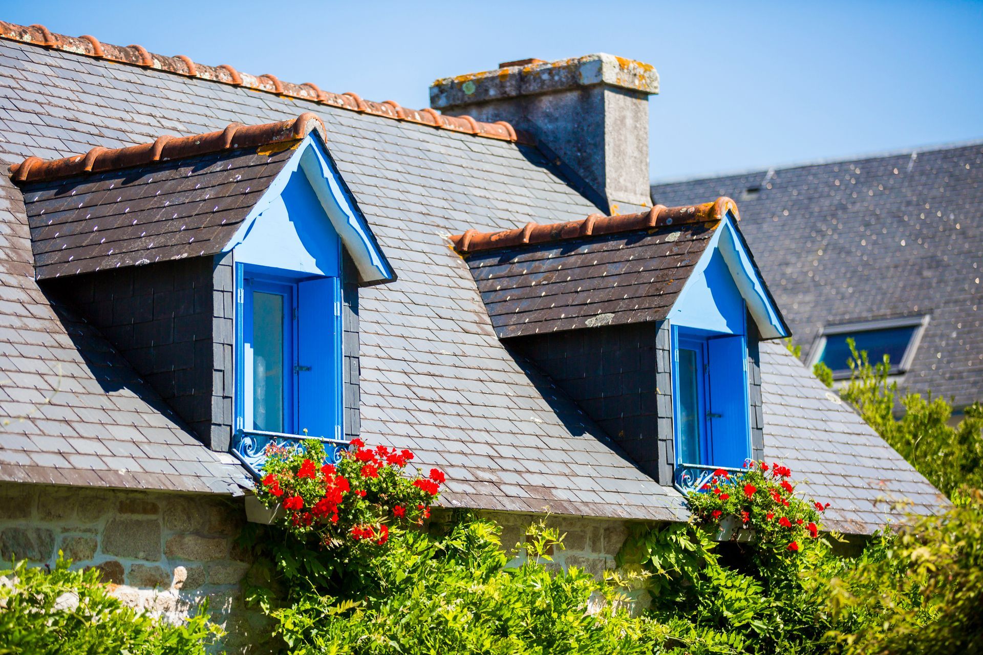 Lucarnes à encadrement bleu ornées de fleurs rouges sur une maison au toit d'ardoise.