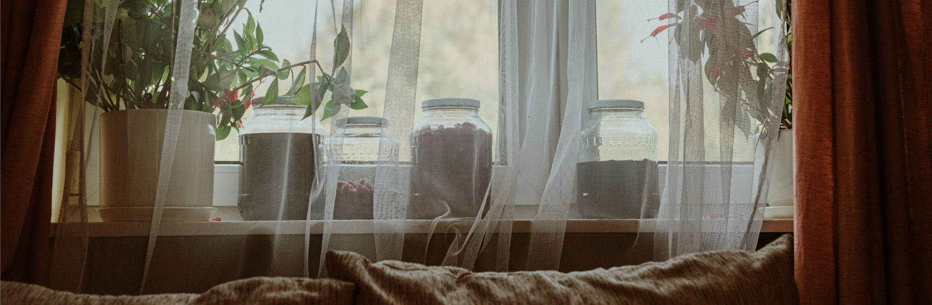 Fenêtre avec voilages, plantes et un canapé.
