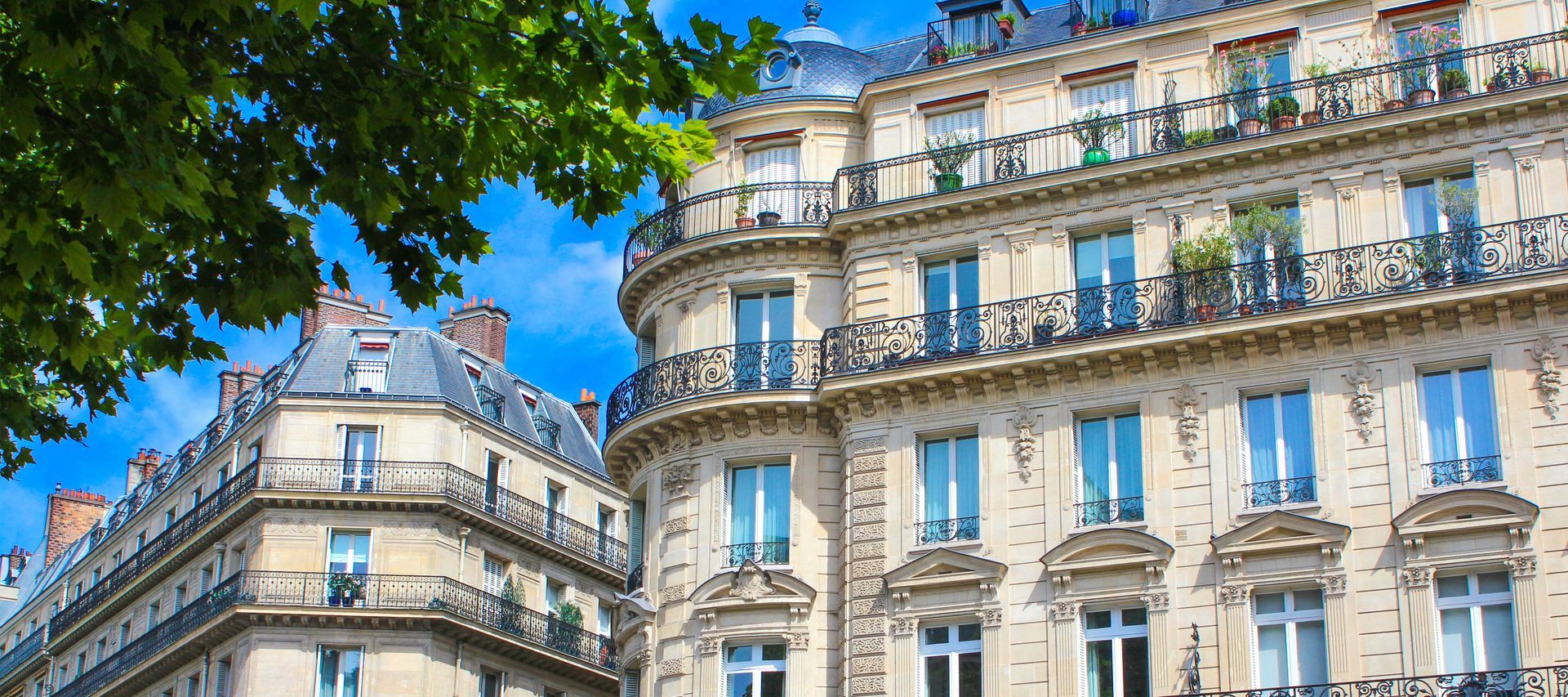 Des appartements parisiens avec un grand soleil