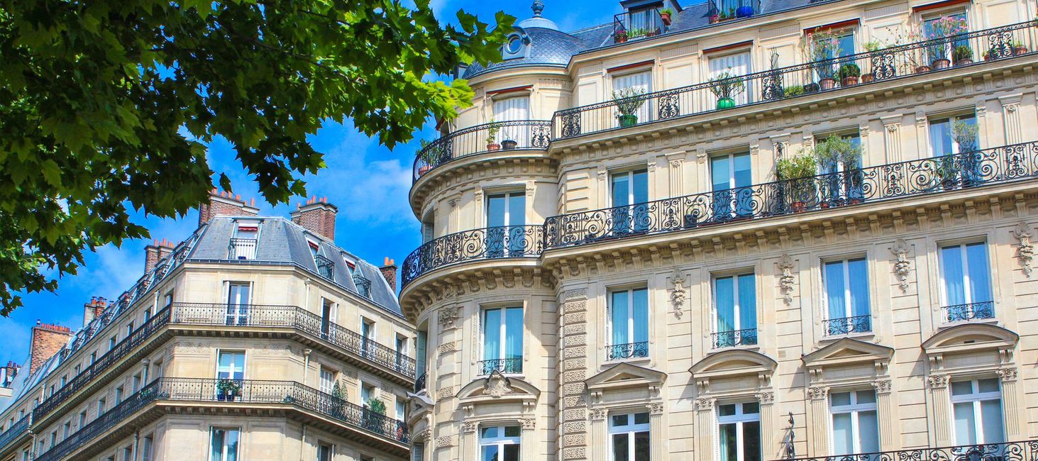 Des immeubles parisiens avec un arbre