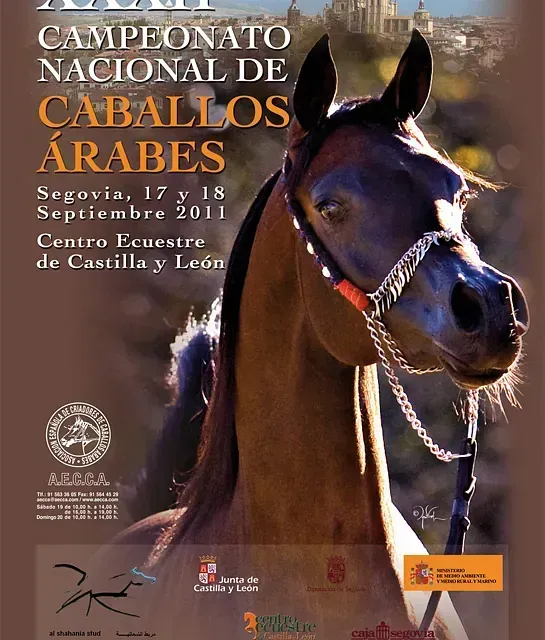 Cartel del Campeonato Nacional de Caballo Árabe en Segovia, España, con un caballo marrón y detalles del evento.