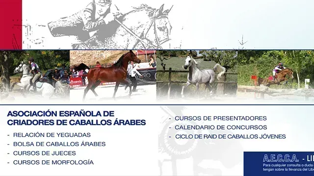 Cartel promocional con caballos árabes, con listado de cursos, eventos y la Asociación Española de Criadores de Caballos Árabes.
