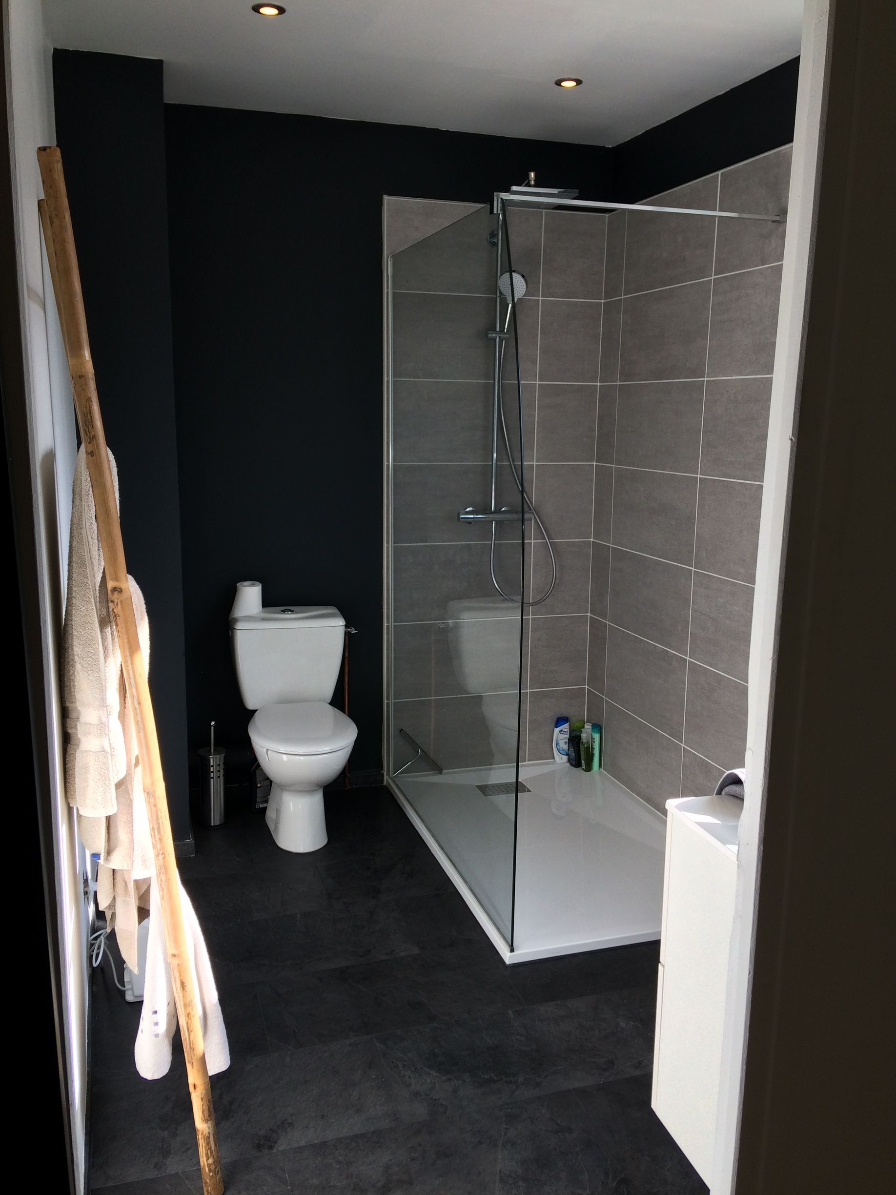 Salle de bains avec une douche et un sanitaire