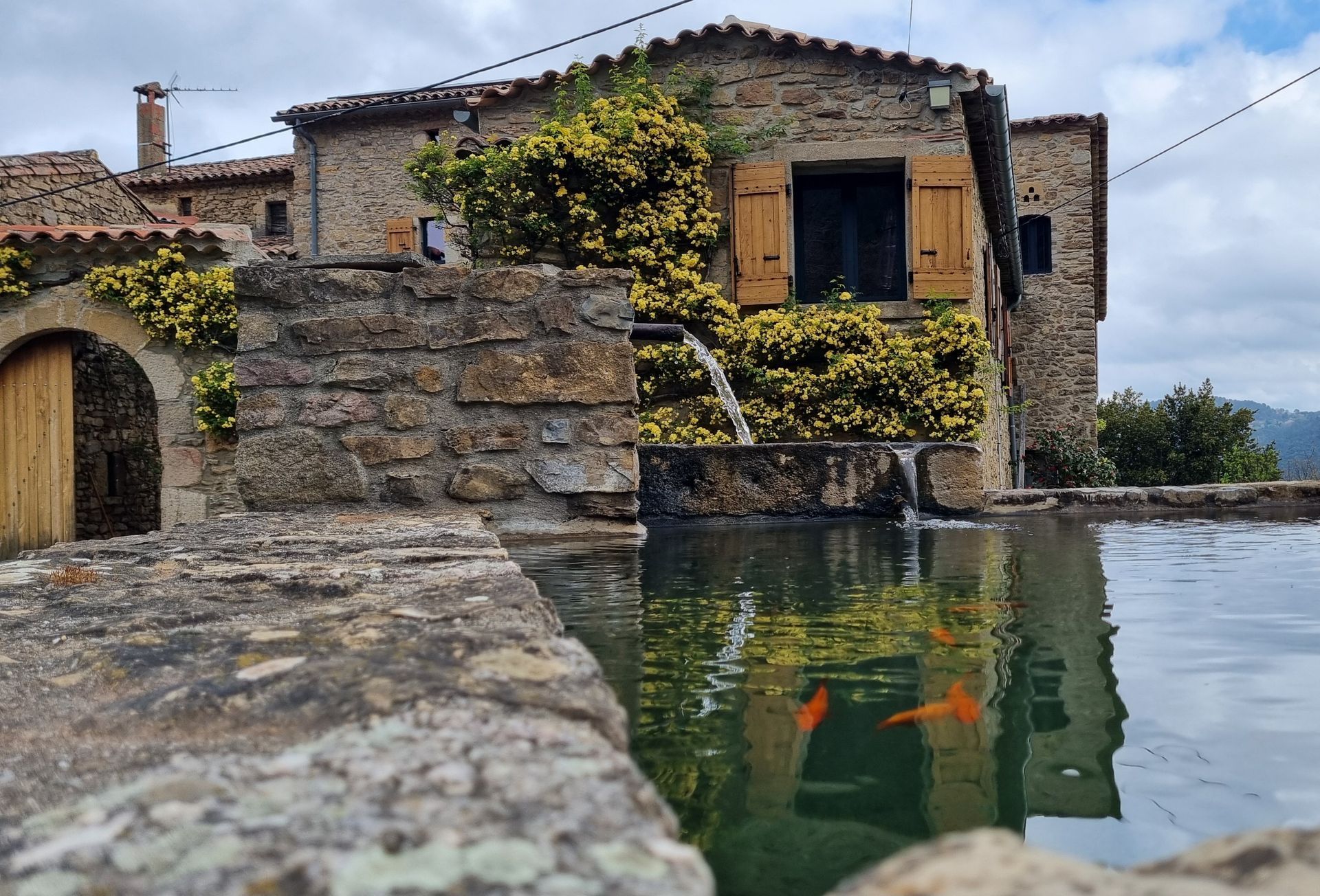Une fontaine en pierre avec des poissons rouges dans son bassin, située devant une maison rustique en pierre recouverte de vignes fleuries jaunes.