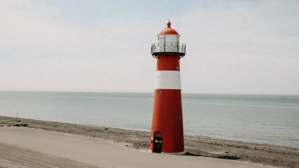Duinood Omgeving
