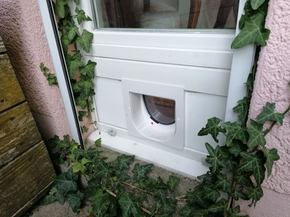 Ihr Schreiner Krauer-Sommer AG Insektenschutz