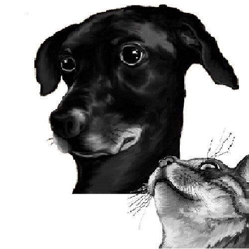 El perro negro con ojos abiertos mira hacia la izquierda, el gato que est&aacute; debajo mira hacia arriba.