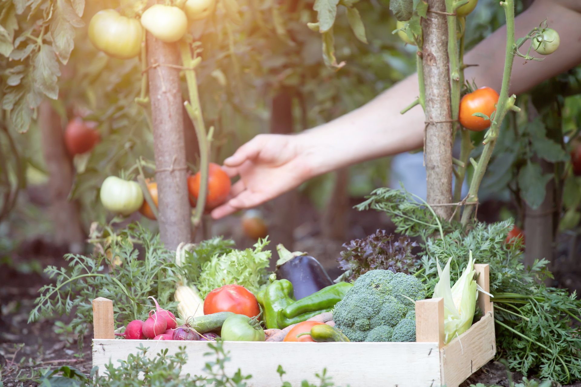 Una persona sostiene un manojo de zanahorias frente a una mesa llena de frutas y verduras.