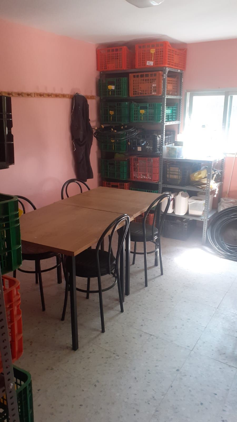 Una habitación con paredes y sillas rosas y una ventana.