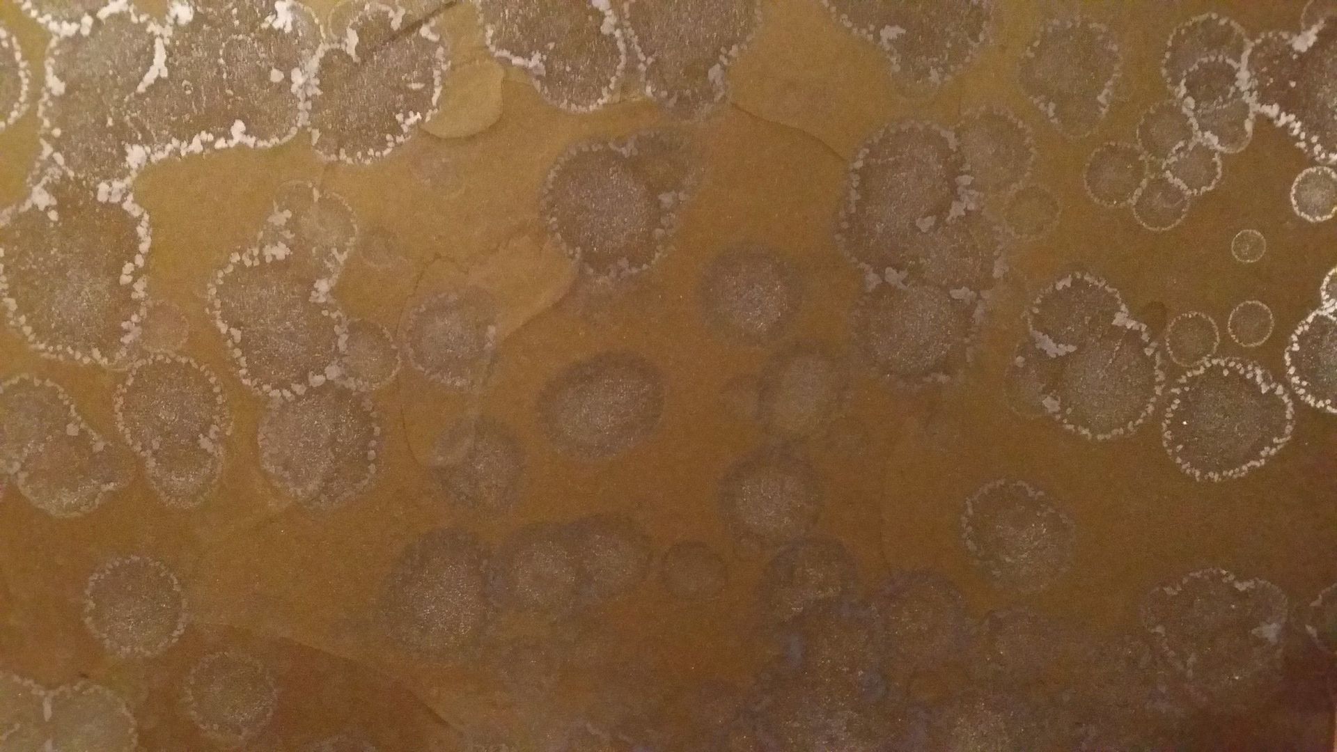 Tecniche decorative di stuccatura con resina - Lauricolor