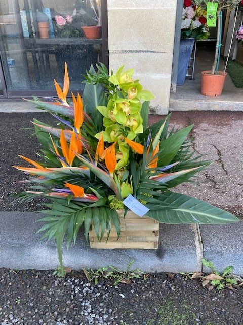 Plante fleurie orange et jaune