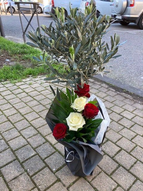 Arbuste avec fleurs rouges et blanches