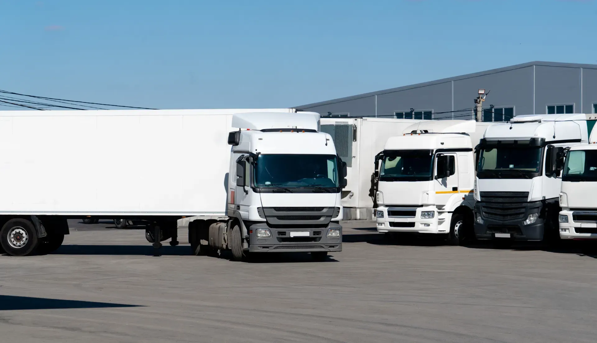 Una fila de camiones semirremolques blancos están estacionados en un estacionamiento.