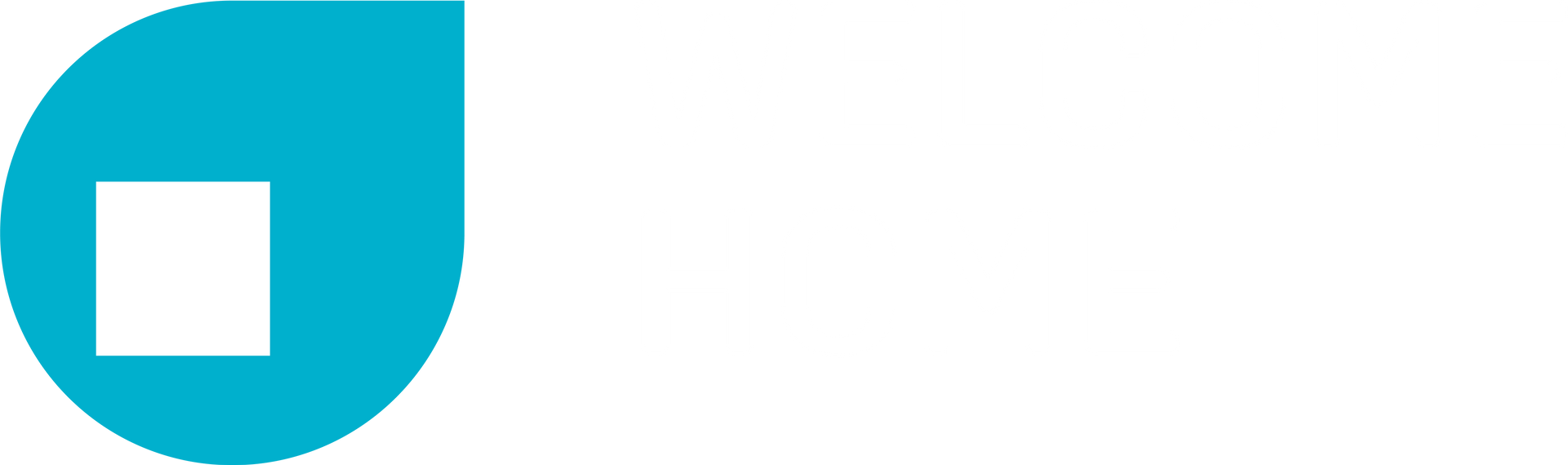 welcome home immobilien AG Logo