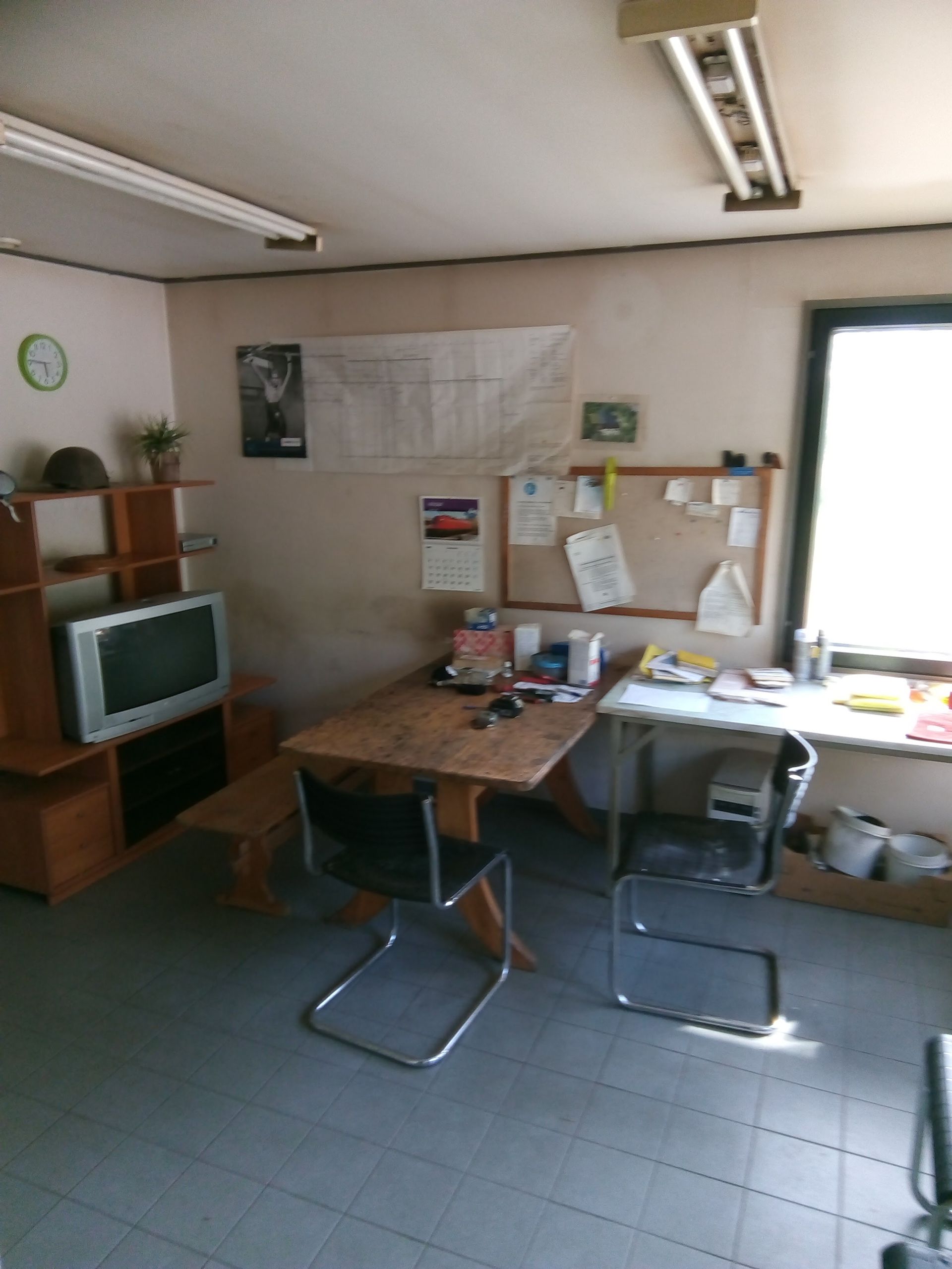 Huutokauppameklari Mikko Paavola