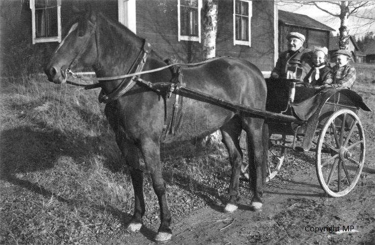 Huutokauppameklari Mikko Paavola