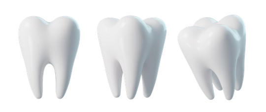 Trois modèles de dents blanches en 3D présentés sous différents angles sur un fond clair