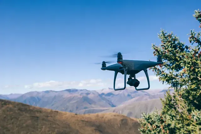 Un dron está volando sobre un árbol en las montañas.