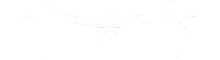 Un fondo blanco con algunas líneas.