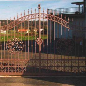 Una puerta de hierro forjado con un dragón está frente a una casa.