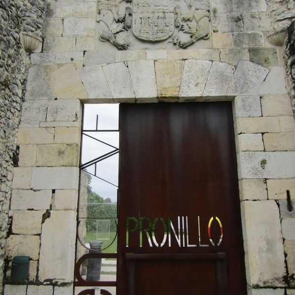 Una puerta con la palabra pronillo pintada en ella
