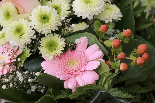 GrapeSEEDのフォニックスを学べる教材をご紹介！