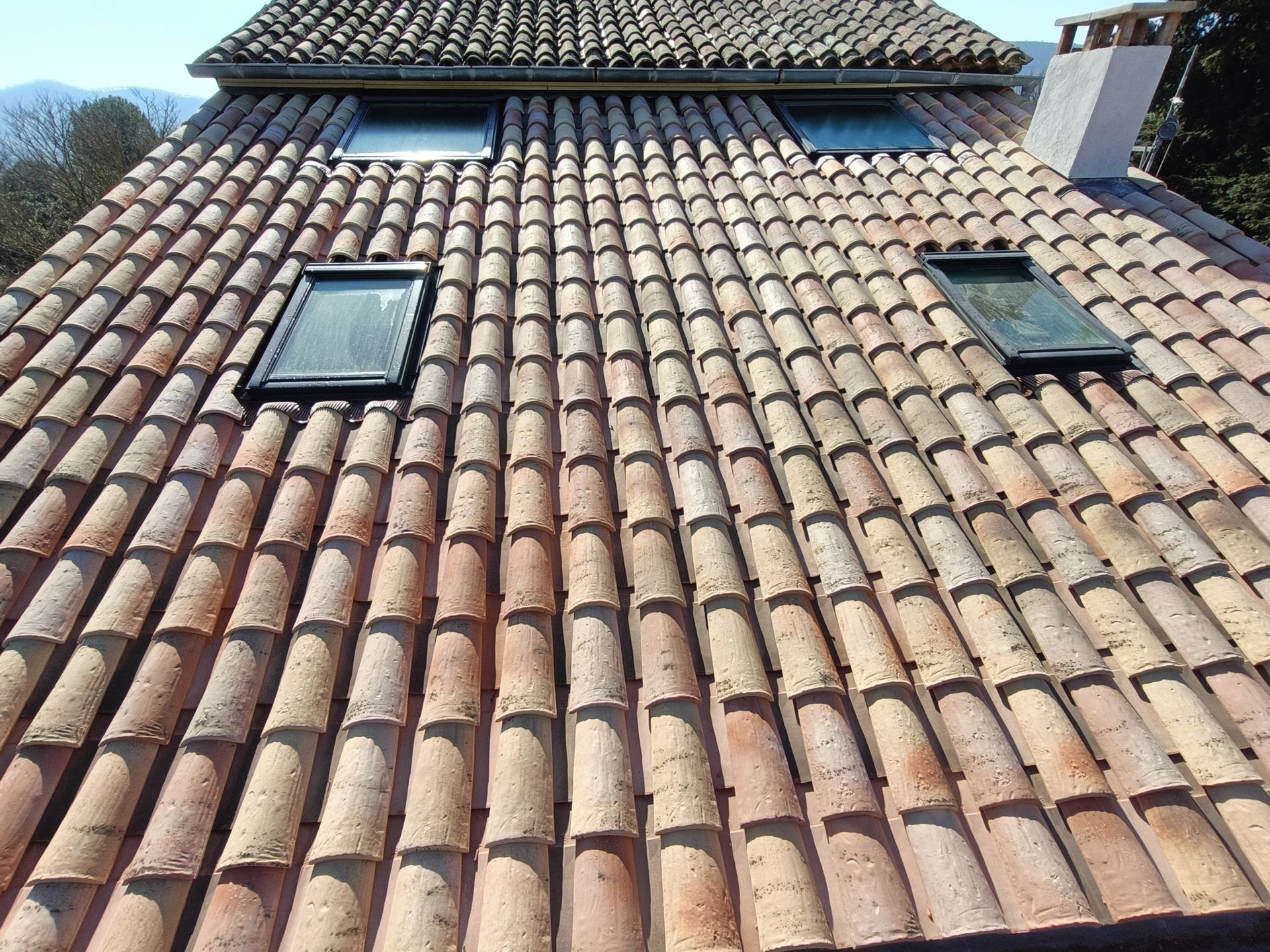 Un toit avec beaucoup de tuiles et un arbre en arrière-plan