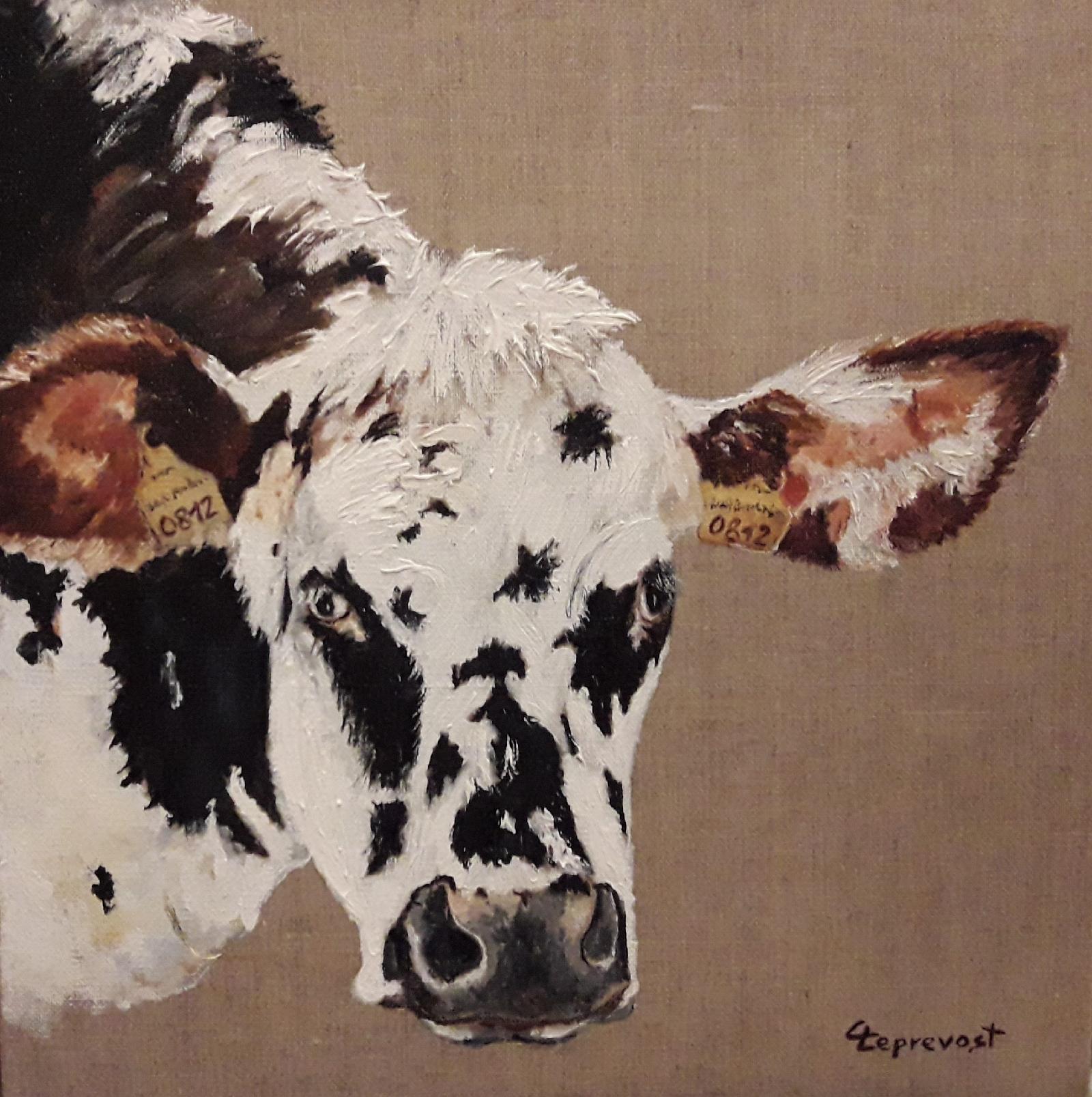 VACHE NORMANDE 0812 (30X30)