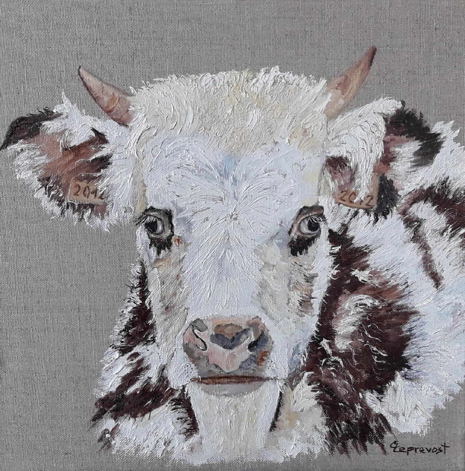 GENISSE NORMANDE (30X30)